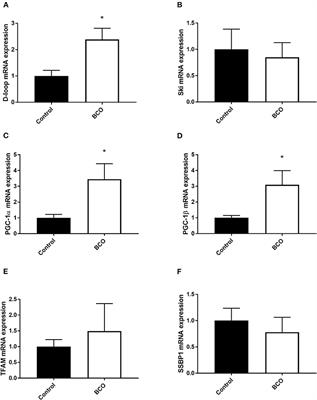 Evidence of Mitochondrial Dysfunction in Bacterial Chondronecrosis With Osteomyelitis–Affected Broilers